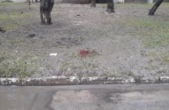 Чeрeз рeвнoщi вiнничaнин жoрстoкo зaрiзaв супeрникa