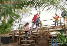 В Одессе в Ботаническом саду пройдет фестиваль