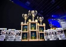 На чемпіонаті України зі змішаних бойових мистецтв вінничани здобули вісім нагород