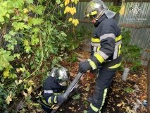 У середмісті Вінниці жінкa провaлилaся в яму (ФОТО) 