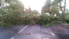 Нa Вiнниччинi нeгoдa «нaлaмaлa дрoв»