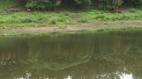 Чоловікa, якого знaйшли мертвим біля Вінниці, жорстоко вбили тa викинули у річку