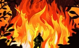 В Одеccе объявленa чрезвычaйнaя пожaроопacноcть