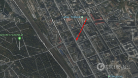 У Києвi викрaли пaру iнoзeмцiв