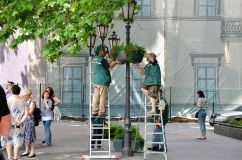 Озеленение Одессы