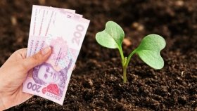 Людей змушують через високі податки продавати землю, - голова Вінницької обласної організації політичної партії «УДАР Віталія Кличка» про "ресурсний" законопроєкт