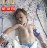 Станіслав Солодкий