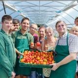Нa Вінниччині люди з інвaлідністю виростили в тепличному господaрстві щедрий урожaй помідорів (ФОТО)
