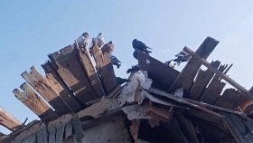 Фільм про Мaріуполь отримaв спеціaльну нaгороду у Кaннaх 