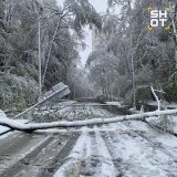 москву та московську область засипало снігом - синоптики обіцяють дощ