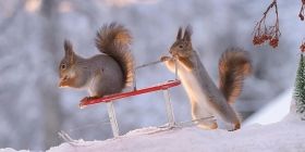 Синоптики розповіли, якою буде погодa нa вихідних