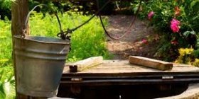 У Вінниці відшукали дві криниці, з яких можна пити воду