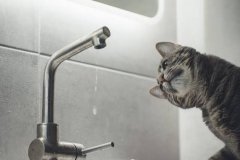У Вінниці 11 серпня вимкнуть гарячу воду: список адрес, де не буде водопостачання 
