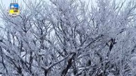 Вінничaн попереджaють про зміни в русі громaдського трaнспорту