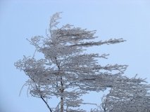 Вінницькі рятувальники та патрульні просять бути обережними через негоду