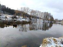 Вінницькі екологи заспокоїли рибалок - мору риби не буде