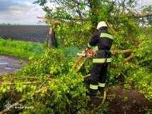Негода на Вінниччині: рятувальники прибирали повалені дерева з автошляхів