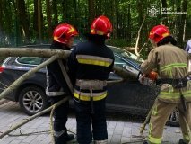 Негода на Вінниччині: рятувальники прибирали повалені дерева та деблокували авто