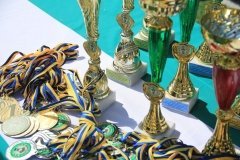 Томашпільська громада — серед найсильніших спортивних громад Вінниччини