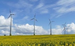 На Вінниччині планують збудувати п’ять вітропарків потужністю 544 МВт