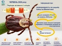 На Вінниччині різко зросла захворюваність на хворобу Лайма: за місяць зафіксували 70 випадків