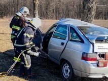 Смертельна аварія на Вінниччині: водій загинув після зіткнення з деревом