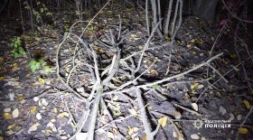 Вінничанин  пішов пасти худобу і не повернувся, його тіло знайшли в кущах