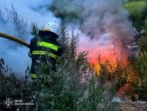 За добу на Вінниччині ліквідували три пожежі в екосистемах: причиною стала людська необережність