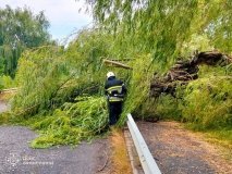 Негода на Вінниччині: рятувальники чотири рази виїжджали на ліквідацію наслідків сильного вітру