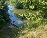 Екологи Вінниччини нагадали, скільки води можна брати з річки без спеціального дозволу