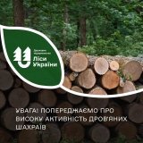 На Вінниччині шахраї продають «дрова» від імені лісництв і зникають після передоплати