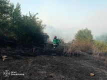  18 пожеж за добу: на Вінниччині вогонь знищив близько 14 гектарів екосистем