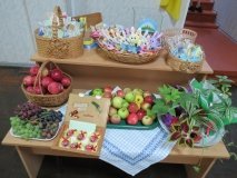 Вінницький центр натуралістів розпочав новий навчальний рік