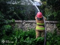 На Вінниччині за добу ліквідували три пожежі: рятувальники закликають до обережності