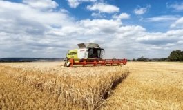 Аграрії Вінниччини зібрали понад половину врожаю та розпочали посів озимини