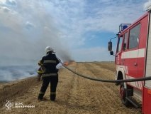 На Вінниччині за добу загасили п’ять пожеж у природних екосистемах