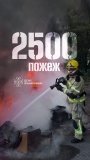 На Вінниччині з початку року ліквідували 2500 пожеж