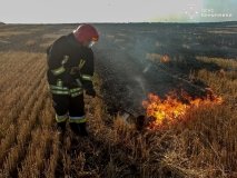 12 пожеж за добу: на Вінниччині горіли поля та господарські будівлі