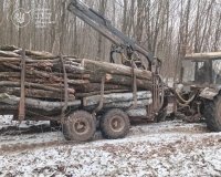 На Вінниччині екоінспектори викрили незаконне транспортування лісоматеріалів