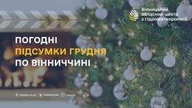 Тепліший за норму та мінливий: яким був грудень у Вінниці й області