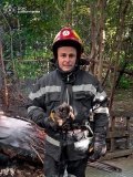 У Вінниці під час пожежі врятували 35 собак: одна тварина загинула