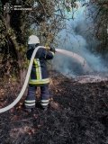15 пожеж за добу: на Вінниччині горіла суха трава та господарські споруди