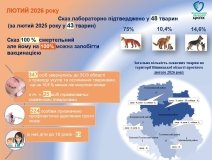 На Вінниччині зросла кількість випадків сказу серед тварин