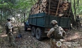 На Вінниччині завершили розслідування справи щодо незаконної вирубки лісу на майже 6,5 млн грн