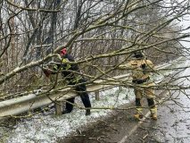 Через негоду на Вінниччині рятувальники розчищали дороги від повалених дерев