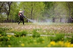 У Хмільнику 26 березня проводитимуть обробку від кліщів