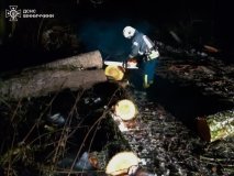 Наслідки негоди на Вінниччині: ДСНС очищали дороги в чотирьох районах