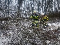 Негода на Вінниччині: рятувальники ліквідовують наслідки ожеледиці на дорогах