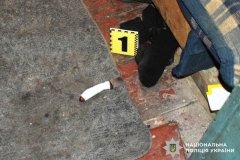 Жителя Гайсинського району засудили до 9 років ув’язнення за вбивство падчерки