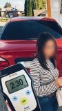 На Вінниччині патрульні зупинили водійку з 2,30 проміле алкоголю